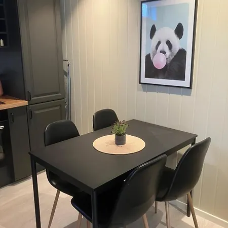 Koselig, Nyoppusset Leilighet Apartamento